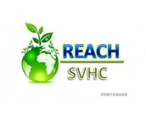 reachSVHC嵥201912½205